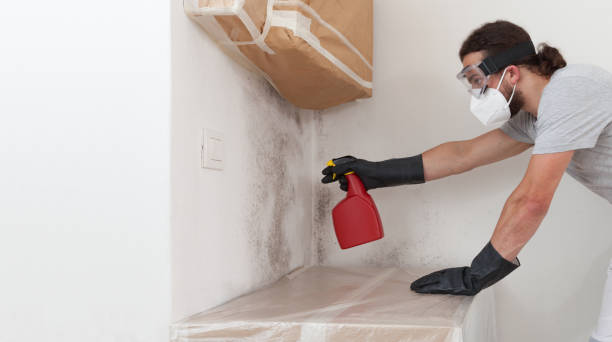Professional Bathroom Mold Removal technician working in Freeland, PA