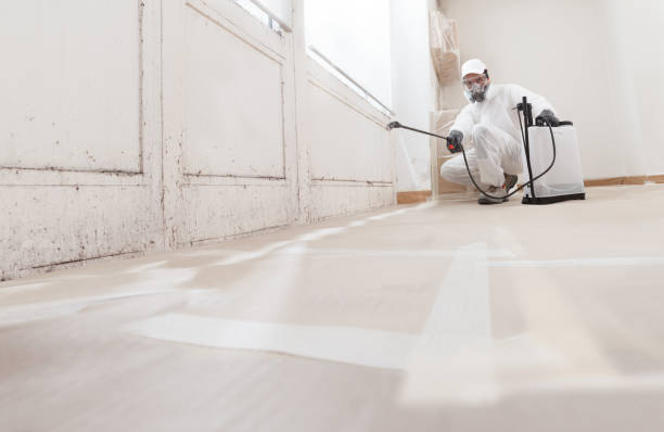 24/7 Emergency Bathroom Mold Removal experts in Freeland, PA
